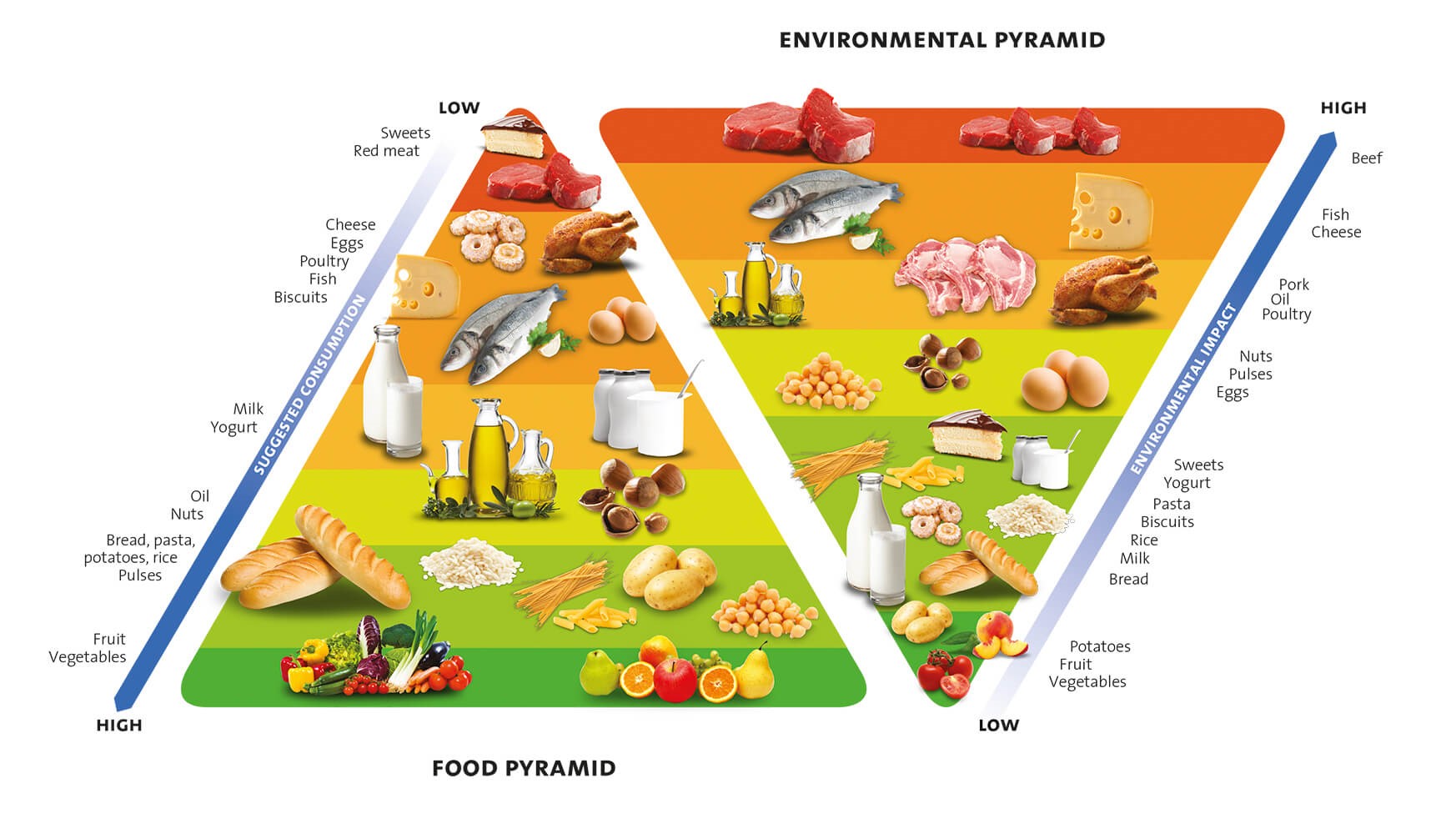 food pyramid barilla center for food & nutrion 2015.jpg