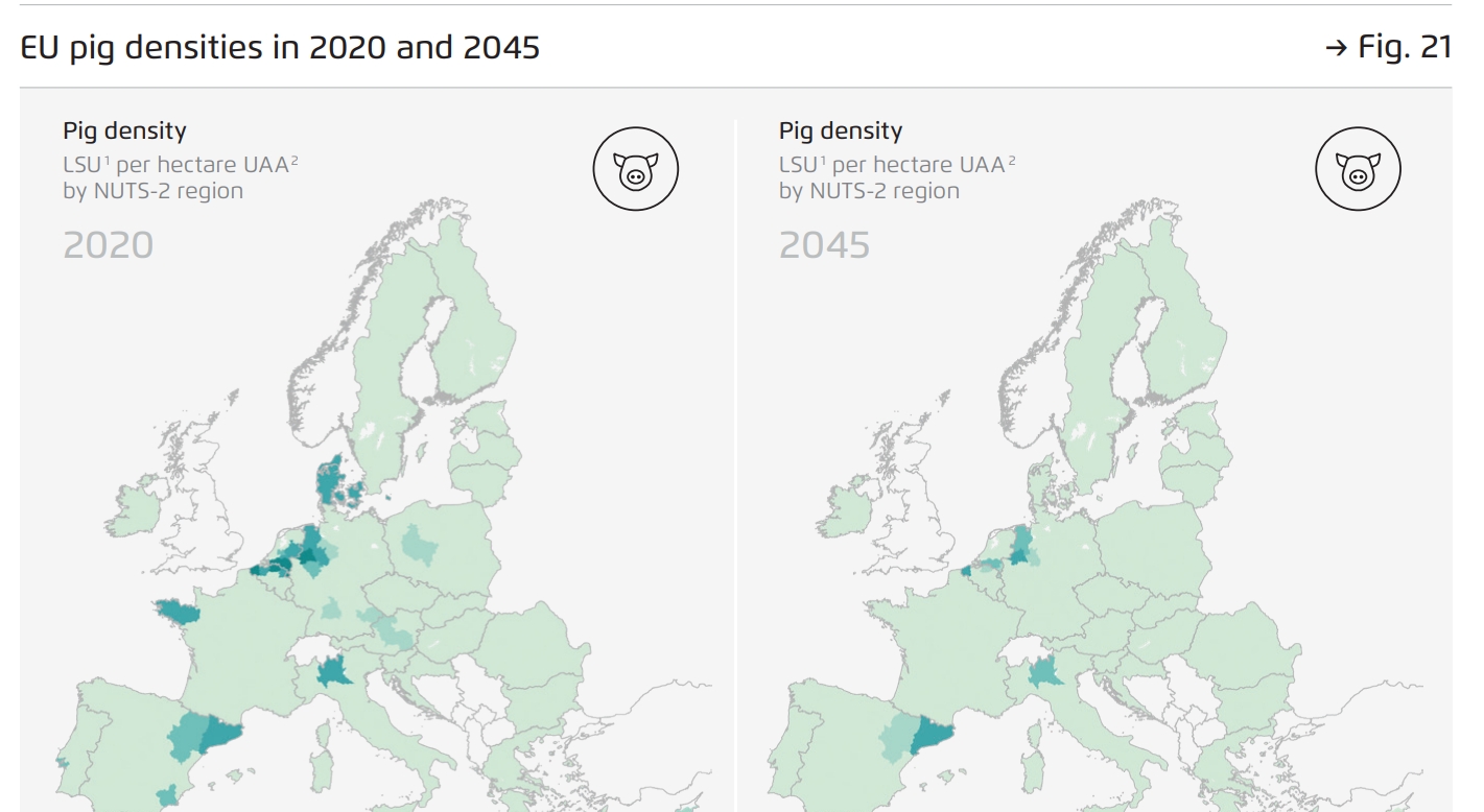 pigdensity.jpeg