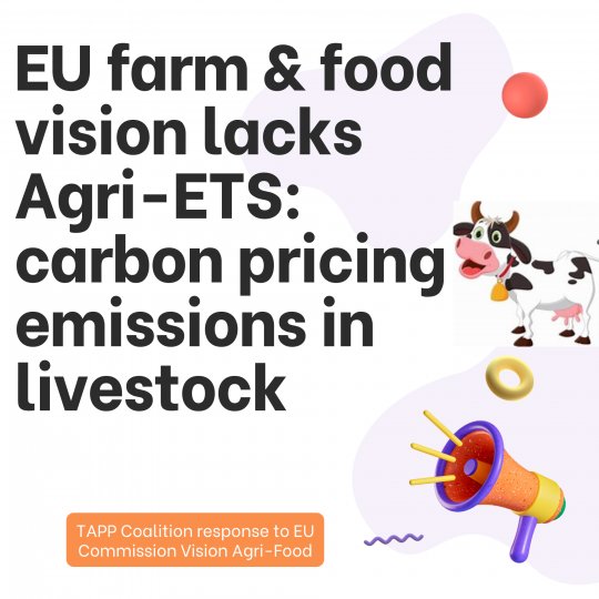 Copy-of-EU-farm-food-vision-lacks-Agri-ETS-carbon-pricing-emissions-in-livestock-1920-x-1920-px-1740004966.png